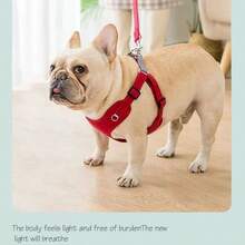 Bộ dây dắt và dây xích dắt chó đi dạo ngoài trời HP082-1 dành cho chó nhỏ vừa - Dây dắt chó Chihuahua & Pomeranian có dây đeo có thể điều chỉnh, thiết kế tiện dụng, polyester bền, lý tưởng cho các hoạt động ngoài trời & thú cưng khi đi du lịch, không cần pin - Nhiều màu - Xem 6