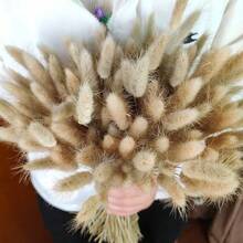 30/60/120/180/240pcs Bunny Tails Grass ,Dried Lagurus Grass ,Dry Grass Bouquet For Vase,DIY Handcraft Materials,Home Decor,Wedding Decor - Brown - View 1