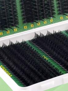 600/570 CÁI D Curl Cụm mi riêng lẻ Công suất lớn 30D + 40D + 50D + 60D + 80D + 100D + 120D + 160D Cụm mi tự làm 10-16mm Vẻ ngoài tự nhiên & Dày hơn & Mượt & Siêu mềm & Siêu nhẹ Bộ mi giả phân đoạn riêng lẻ có thể tái sử dụng Bộ nối mi kèm dụng cụ trang điểm 2 cọ mi cho người mới bắt đầu sử dụng tại nhà hoặc khi di chuyển Cho cuộc sống hàng ngày & Đám cưới & Tiệc tùng & Lễ hội âm nhạc & Ngày của Mẹ Cụm mi, Cụm mi, Lông mi riêng lẻ, Lông mi, Lông mi giả - Nhiều màu - Xem 6