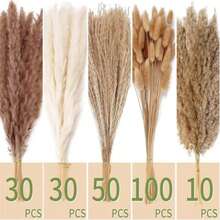38/50/80/100/110pcs Natural Premium Pampas Grass Decor - Dried Rattan Flowers For Home, Wedding, Event & Festive Season Decorations (Christmas, Halloween, Easter, Thanksgiving)