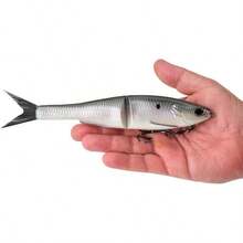 Cebo suave de pesca Berkley PowerBait Nessie - Sábalo - Ver 2