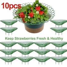 10pcs Strawberry Planting Support Rack With 4 Sturdy Columns, Strawberry Cultivation Structure Ensures Fruit Stays Clean, Suitable For Indoor Or Outdoor Garden Strawberry & Vegetable Planting, Planting Assist Tool, Applicable For Halloween, Christmas, Valentine's Day