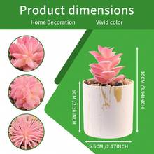 Multiple Options Realistic Succulent Plants Potted, Gold Rim White Ceramic Cup, Office Desk Decor, Home Decoration, Desktop Ornament, Birthday Gift - White - View 5