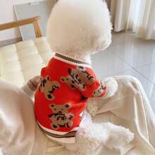 吉娃娃、宠物、猫、狗、狗衣服、幼犬、吉娃娃狗衣服、小猫用品、可爱熊图案狗狗开衫毛衣，适合中小型公母猫狗、宠物狗冬季外套、柔软针织服装 - 紅色 - 查看 8