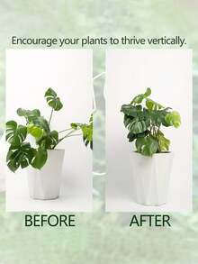 1/5件装耐用龟壳竹制花架及支撑系统 - 金属攀援植物训练器，带竹制手柄套件，是健康美观植物生长的理想支撑结构，植物支撑架 | 攀援植物支撑架 | 金属稳定器 - 彩色 - 查看 6