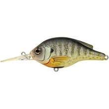 CEBA CRANKBAIT PARA SUNFISH LIVE TARGET - Multi - Ver 3