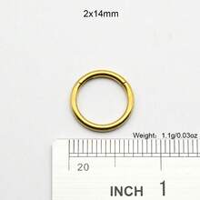 1 Piece Large Gauge Septum Clicker 10mm-2mm 12G Round Smooth 316L Stainless Steel Earplugs Piercing Single Hinged Clicker Segment Hoop Ring Big Nose Piercing Punk Ear Expander Septum Piercing Segment Clicker Rings Earweight Body Jewelry - Gold Nose Ring - View 32