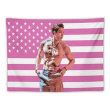 CelFlag Stray Tapestry Kids Wall Hanging Bang Music Chan Pink Amarican Flag,Suitable For Bedroom Living Room Dormitory Home Decor 30"X40" - 彩色 - 查看 1