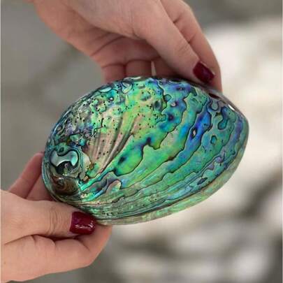 1PC Oversized Blue Abalone Shell Jewelry Display Bowl - Christmas Gift For Women, Luxury Holiday Home Decor, Elegant Ring Holder & Necklace Tray, Sage Burning Ceremony Centerpiece