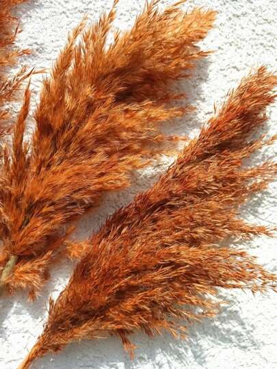 6/12/18pcs 22 Inch/56cm Tall Beige Rattan Stems, Add Boho Vibe To Your Space - Rattan Grass Is An Ideal Choice For Floral Arrangements, Vases, Weddings And Creating A Bohemian Atmosphere At Home, Christmas And Valentine's Day Wedding Decor