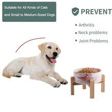 Elevated Raised Cat Bowl Ceramic Dog Bowl For Small Medium Dogs Food Water Bowl With Stand Heavy Weighted Pet Feeding Bowl Ceramic Dog Dish Marble