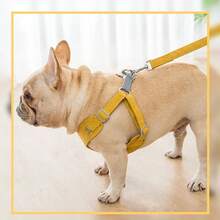 Bộ dây dắt và dây xích dắt chó đi dạo ngoài trời HP082-1 dành cho chó nhỏ vừa - Dây dắt chó Chihuahua & Pomeranian có dây đeo có thể điều chỉnh, thiết kế tiện dụng, polyester bền, lý tưởng cho các hoạt động ngoài trời & thú cưng khi đi du lịch, không cần pin - Nhiều màu - Xem 8