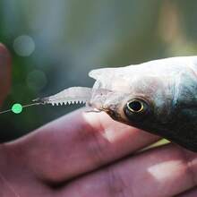 Señuelos de Pesca Anzuelos para Pesca Bionic Multi-Section Bait Cebo Duro Pescas Cebo Falso 3PCS 13.4cm o 10PCS 8cm - Falso cebo camarón anzuelos 10 pcs 8cm - Ver 8