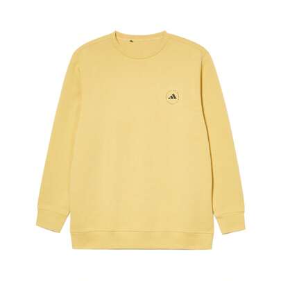 Adidas 男士休闲经典时尚套头衫卫衣 IW2395