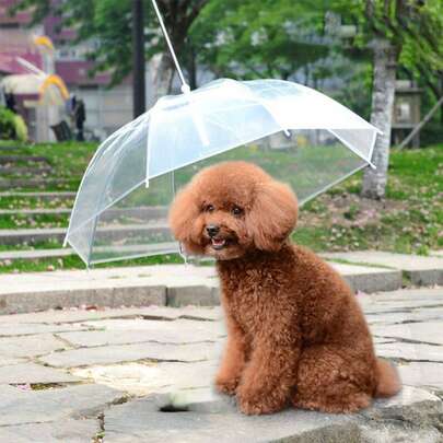Transparent Pet Umbrella, Suitable For Small And Medium Dogs, Dog Walking Accessory