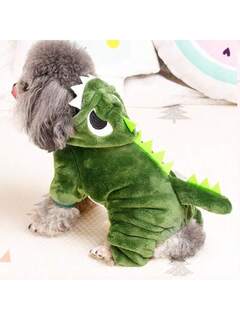 Cuidados com seu Pet