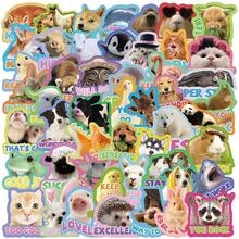 50张奖励贴纸，趣味动物激励，教师用品，DIY笔记本电脑，水瓶，行李箱，文具，手机，防水趣味贴纸