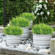 3/6 Stück künstliche Farnpflanzen - lebensechte Kunstgrünpflanzen mit UV-beständigen hängenden Blättern für Innen- und Außenbereich Heimdekoration, Garten-Displays, Bürodekoration, Wandhintergründe, Terrassen-Landschaftsgestaltung und Hochzeitsdekorationen