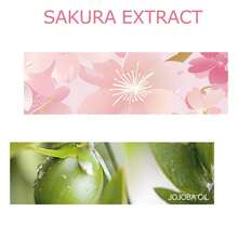 NIVAVIN 30ml/60ml/100ml Sakura Essential Oil, Floral Fragrance Plant Extract, Long-Lasting & Fresh, Suitable For Face, Body, Hands & Feet Care, Also For Aroma Diffuser, Massage, Multi-Purpose, Portable Bottle Design, Ideal Gift For Christmas, Halloween, Easter - Cherry Blossom Essential Oil - View 3