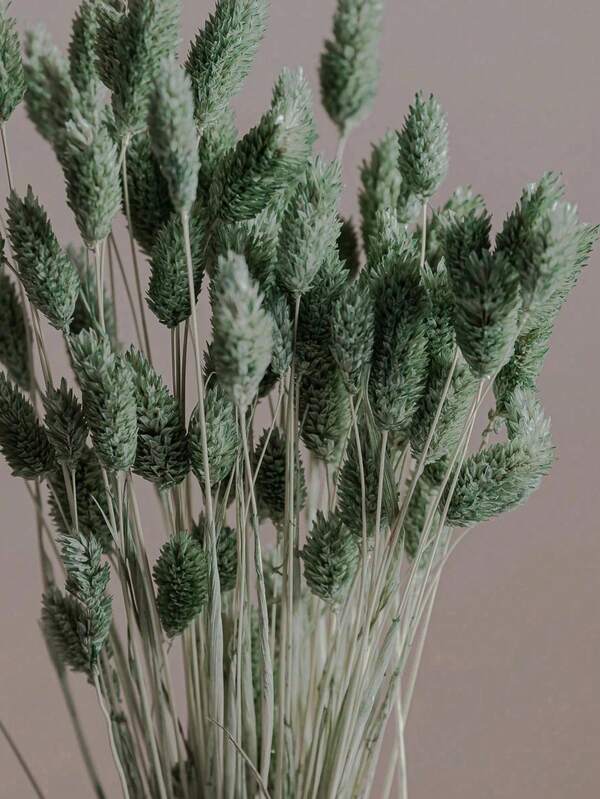 25/50/100pcs Gem Grass Dried Flowers, Assorted Colors, For Home Decor, Vase Decor, DIY Bouquets, Cake Decoration