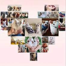 Custom Diy C-Shaped Pillow, Fabric, 14+ Years, Craft Supplies - Personalize With Your Photo For Unique Gift Christmas Gift, Custom Plush, Customize, Pillows,Machine Washable, Digital Printing - Upload Pictures to Customize Pillows - View 9