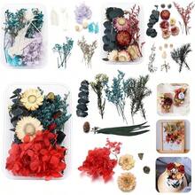 Artificial Prensado Flores Secas Resina,3 Bolsas de Flores Secas para Resina Epoxi Manualidades, Perfecto para Resina,ón, Manualidades, decoración Floral, álbumes de Recortes - B - Ver 3