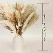 25/50/100/130/150/200 piezas Decoración de juncos secos, ramo de flores secas, para boda, hogar, centro de mesa, hogar moderno, sala de estar occidental, oficina y decoración bohemia, hierba pampa esponjosa, hierba alta, decoración de plumas naturales, adecuado para boda, mesa del hogar, decoración de fiesta de granja, regalo del Día de la Madre, relleno de canasta de Pascua
