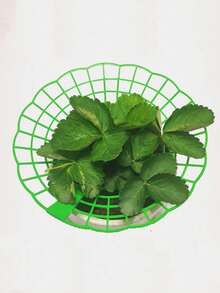 Questo set di supporti per piante di fragole ha tre gambe robuste ed è dotato di un design con logo di fragole, offrendo protezione per le fragole contro muffa, marciume e sporco, adatto per la coltivazione di fragole