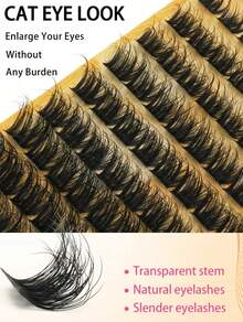 156-Piece D-Shaped Curl DIY Cluster Eyelash Extension Kit, Lengths 8-16mm, Mixed Fluffy Lengths, Mixed Cluster Segmented D-Shaped Curl Eyelash Extensions, Can Create A Cat-Eye Look Or A Naturally Fluffy And Voluminous Effect, Achieving A Dramatic Eyelash Effect. Suitable For Daily Use, Cat-Eye Style.DIY Eyelash Extensions, Eyelash Clusters, Single Eyelashes, Eyelashes, False Eyelashes - D - 查看 5