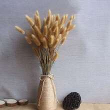 30/60/120/180/240pcs Bunny Tails Grass ,Dried Lagurus Grass ,Dry Grass Bouquet For Vase,DIY Handcraft Materials,Home Decor,Wedding Decor - Brown - View 6