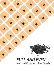 600/120pcs Ear Acupressure Massage Stickers, Acupoint Massage Stickers, Ear Stickers, Ear Seed Stickers, Massage Stickers - Multicolor - View 3