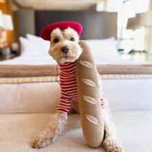 TFKI Interactive Squeak Dog Toy Dog Enrichment Puzzle Toys Stress Release Game For Boredom Snuffle Activity Foraging Instinct Training Of Dogs - 法國麵包 - 查看 5