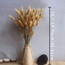 30/60/120/180/240pcs Bunny Tails Grass ,Dried Lagurus Grass ,Dry Grass Bouquet For Vase,DIY Handcraft Materials,Home Decor,Wedding Decor - Brown - View 5