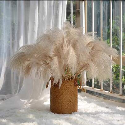 25/50/100/200/300pcs Natural Dried Cattail Bulrush White Flowers, Everlasting Decoration For Wedding, Party, Home