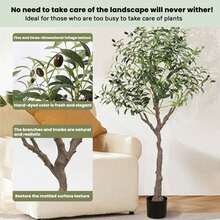 Piorlado Realistic Artificial Olive Tree, Lifelike Faux Olive Plant For Home, Office, Garden Décor (Without Ceramic Pot) - 180厘米 - 查看 4