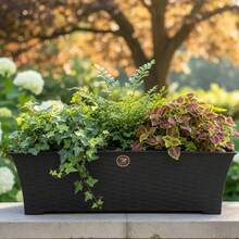 Jardinera Rattan maceta rectangular 9 litros plástico, recipiente decorativo y funcional para plantas de interior o exterior, diseño moderno y resistente, ideal para jardín, terraza, balcón o sala, fácil de transportar y limpiar, capacidad para gran variedad de especies botánicas, complemento perfecto para ambientar espacios verdes y fomentar el cuidado de plantas, recomendado para hogares familiares y oficinas. - Café integral - Ver 9