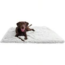 TFKI Best Friends By Sheri Calming Shag Dog Blanket Ultra Soft Faux Fur Pet Throw Anxiety-Relief Lightweight Warm Bed Cover For Dogs And Cats Machine Washable Frost Gray 40" X 50" - Sương giá - Xem 1