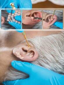 600/120pcs Ear Acupressure Massage Stickers, Acupoint Massage Stickers, Ear Stickers, Ear Seed Stickers, Massage Stickers - Multicolor - View 6