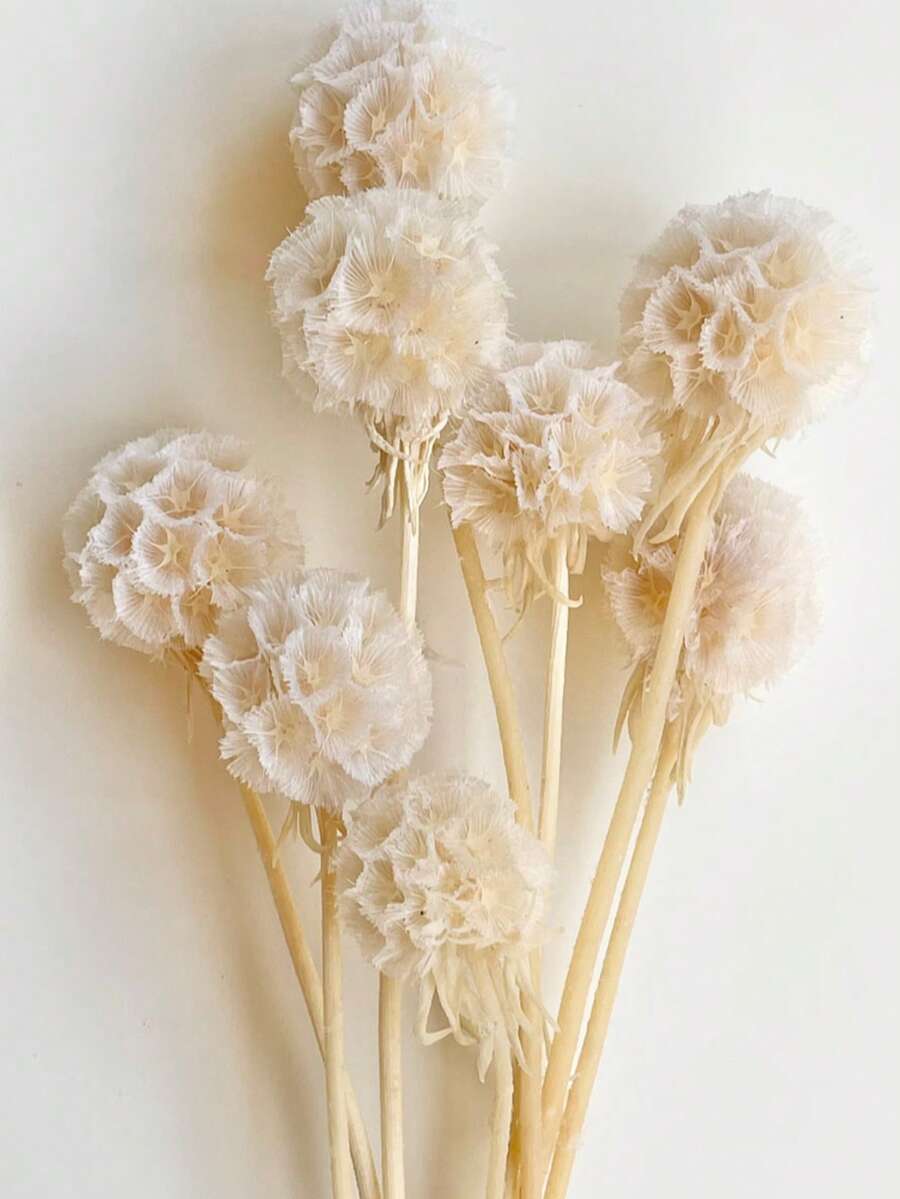 White Bleached Blue Potted Flowers | Dried Flower Design | Natural Style Floral Arrangement | DIY Wedding Bouquet | Home Decor - White - View 1
