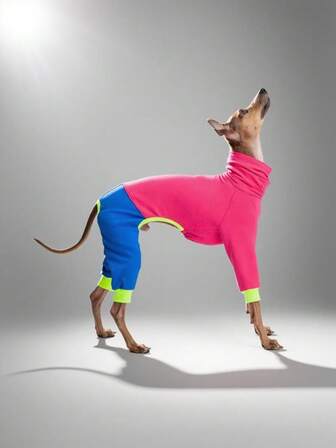 Warm Fleece 4-Leg Pet Clothes, Stretchy Small Terrier & Whippet Outfit, 4-Leg Pet Clothes, Anti-Shedding Clothes For Large Dogs, Medium & Large Dog Apparel