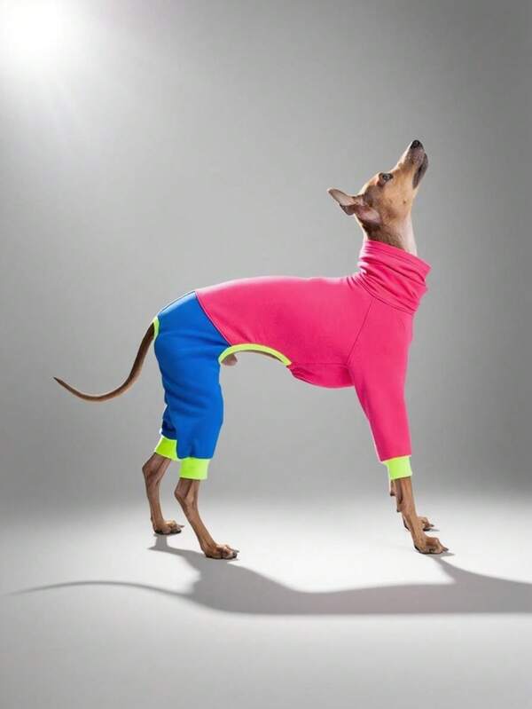 Warm Fleece 4-Leg Pet Clothes, Stretchy Small Terrier & Whippet Outfit, 4-Leg Pet Clothes, Anti-Shedding Clothes For Large Dogs, Medium & Large Dog Apparel