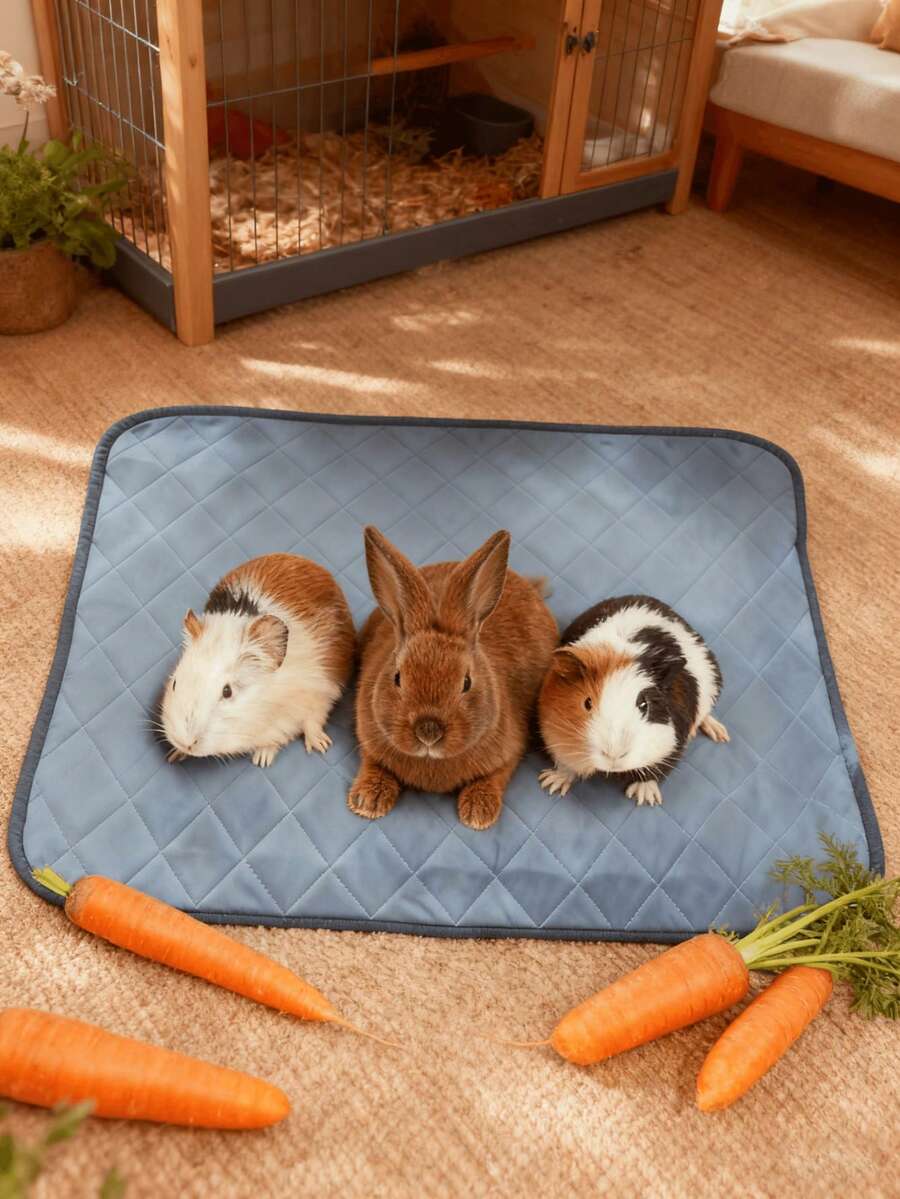 1pc Hamster Accessories,Machine Washable Urine Absorbent Pad,: Perfect For Rabbits,Guinea Pig,Small Dog Beds,Cat Bed& Other Small Pets! - Grey - View 1