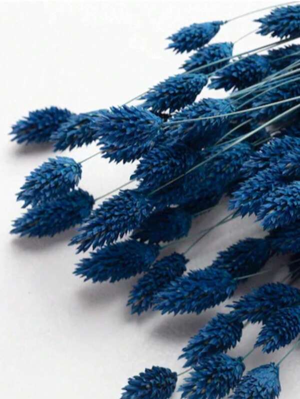 25/50/100pcs Gem Grass Dried Flowers, Assorted Colors, For Home Decor, Vase Decor, DIY Bouquets, Cake Decoration