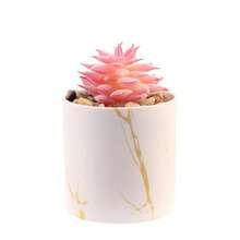Multiple Options Realistic Succulent Plants Potted, Gold Rim White Ceramic Cup, Office Desk Decor, Home Decoration, Desktop Ornament, Birthday Gift - White - View 9