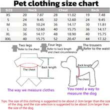 Pet Clothing, Cat Clothes, Dog Clothes, Spring & Winter Outfits, Teddy, Chihuahua, Bear Print, Black Background, Round Neck Hoodie