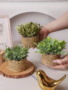 3盆人造藤编迷你盆栽，海藻绳编织而成，3种不同款式，绿色，PE材质，适合摆放在桌面、装饰学校宿舍、办公室或家居，也是馈赠亲朋好友的绝佳选择。