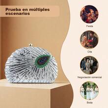 Bolso bordado con cuentas al estilo chino retro, bolso de lentejuelas para cena o evento elegante - Plateado - Ver 7