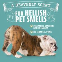 ANGRY ORANGE Pet Odor Eliminator For Dog And Cat Urine Carpet Stains And Strong Smells Citrus Cleaner With Natural Orange Oil 24 Oz - 710mlPackof1 - View 3