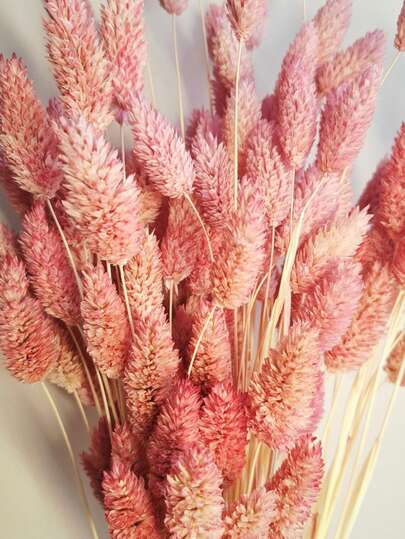 20/50/100pcs Gem Grass Dried Flowers, Multicolor Options, For Home Decor, Vase Decor, DIY Bouquets, Cake Decoration