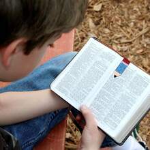 Memo Clips & Memo Boxes - 1 - View 7